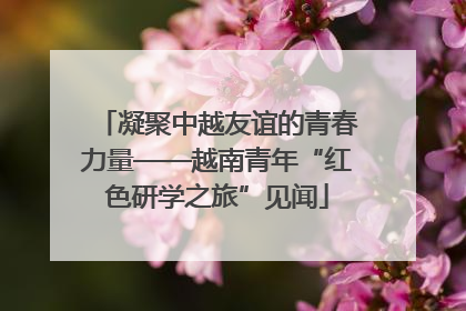 凝聚中越友谊的青春力量——越南青年“红色研学之旅”见闻