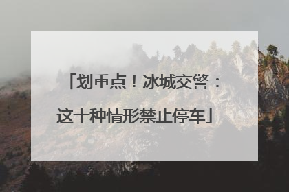划重点！冰城交警：这十种情形禁止停车