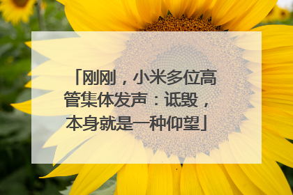 刚刚，小米多位高管集体发声：诋毁，本身就是一种仰望