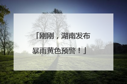 刚刚，湖南发布暴雨黄色预警！