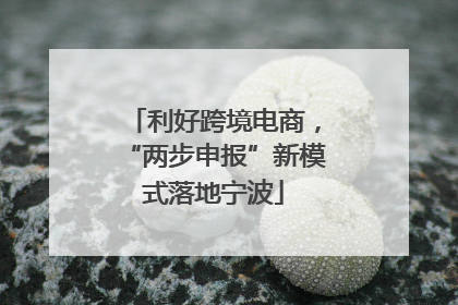 利好跨境电商，“两步申报”新模式落地宁波