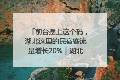 前台摆上这个码，湖北这里的民宿客流量增长20%｜湖北市场监管所的故事
