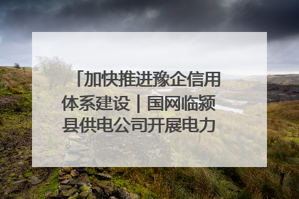加快推进豫企信用体系建设｜国网临颍县供电公司开展电力行业信用企业现场咨询访谈工作
