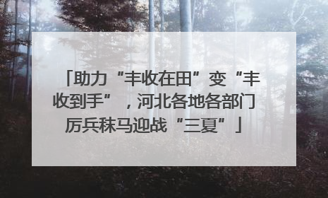 助力“丰收在田”变“丰收到手”，河北各地各部门厉兵秣马迎战“三夏”