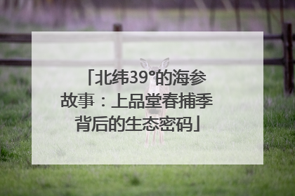 北纬39°的海参故事：上品堂春捕季背后的生态密码