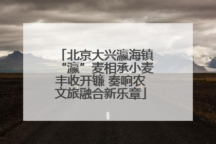 北京大兴瀛海镇“瀛”麦相承小麦丰收开镰 奏响农文旅融合新乐章