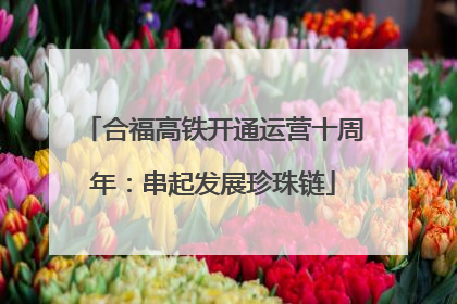 合福高铁开通运营十周年：串起发展珍珠链