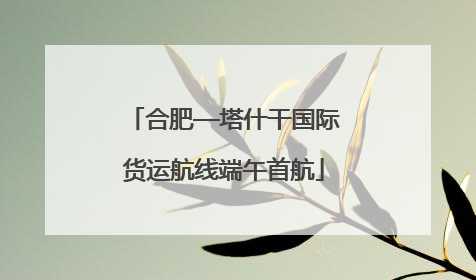 合肥—塔什干国际货运航线端午首航