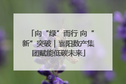 向“绿”而行 向“新”突破｜襄阳数产集团赋能低碳未来