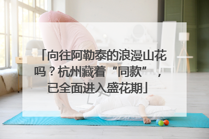 向往阿勒泰的浪漫山花吗？杭州藏着“同款”，已全面进入盛花期