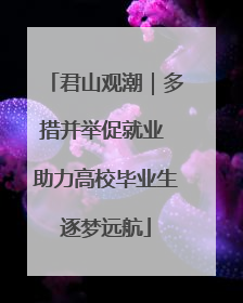 君山观潮｜多措并举促就业 助力高校毕业生逐梦远航
