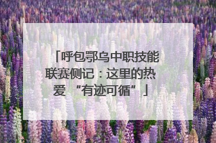 呼包鄂乌中职技能联赛侧记：这里的热爱 “有迹可循”