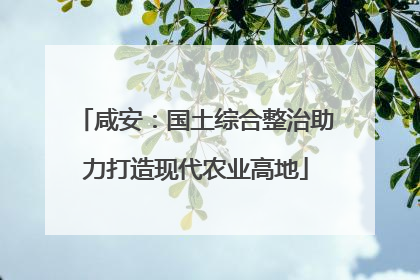 咸安：国土综合整治助力打造现代农业高地
