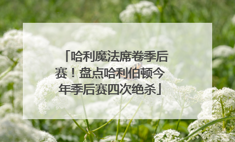 哈利魔法席卷季后赛！盘点哈利伯顿今年季后赛四次绝杀