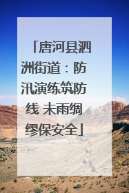 唐河县泗洲街道：防汛演练筑防线 未雨绸缪保安全