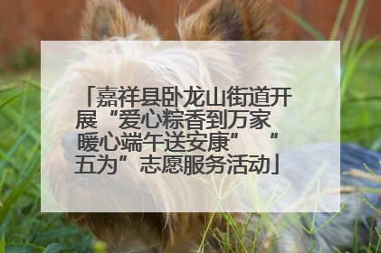 嘉祥县卧龙山街道开展“爱心粽香到万家 暖心端午送安康” “五为”志愿服务活动