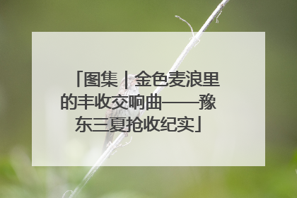 图集｜金色麦浪里的丰收交响曲——豫东三夏抢收纪实