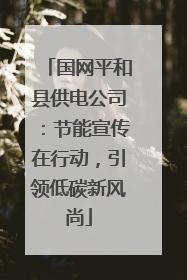 国网平和县供电公司：节能宣传在行动，引领低碳新风尚