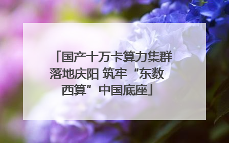 国产十万卡算力集群落地庆阳 筑牢“东数西算”中国底座