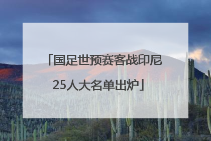 国足世预赛客战印尼25人大名单出炉