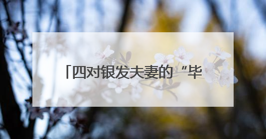 四对银发夫妻的“毕业婚礼”惊艳全城