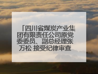 四川省煤炭产业集团有限责任公司原党委委员、副总经理张万松 接受纪律审查和监察调查
