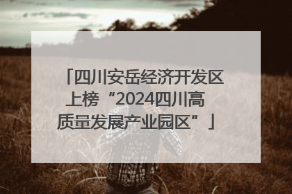 四川安岳经济开发区上榜“2024四川高质量发展产业园区”