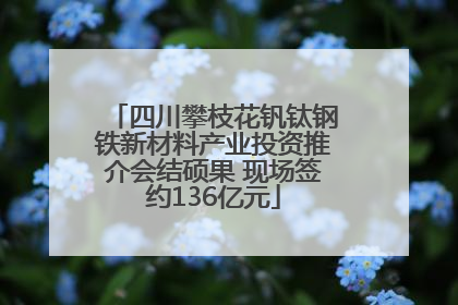 四川攀枝花钒钛钢铁新材料产业投资推介会结硕果 现场签约136亿元