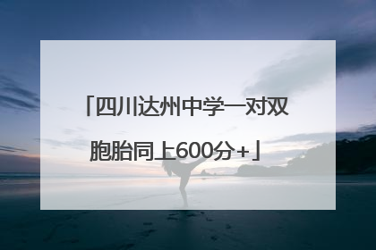 四川达州中学一对双胞胎同上600分+