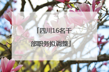 四川16名干部职务拟调整