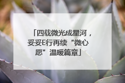 四载微光成星河，妥妥E行再续“微心愿”温暖篇章