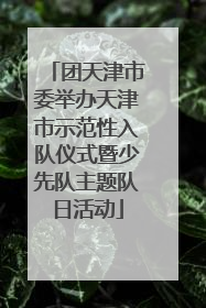 团天津市委举办天津市示范性入队仪式暨少先队主题队日活动