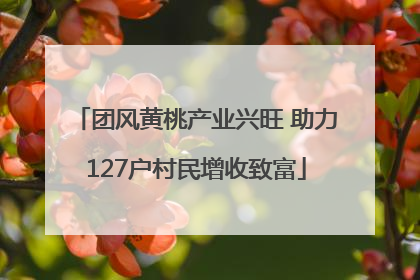团风黄桃产业兴旺 助力127户村民增收致富
