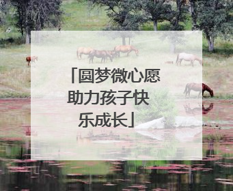 圆梦微心愿 助力孩子快乐成长