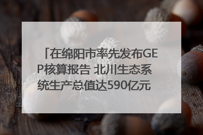 在绵阳市率先发布GEP核算报告 北川生态系统生产总值达590亿元｜新闻发布最前线