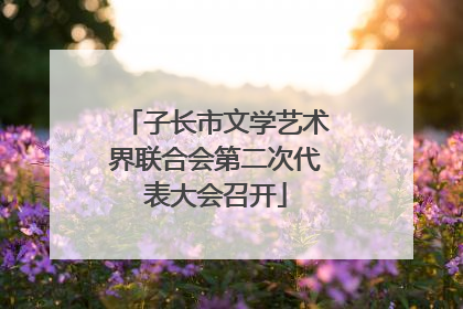 子长市文学艺术界联合会第二次代表大会召开
