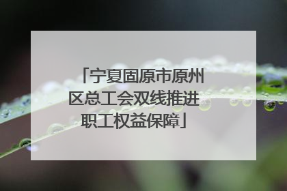 宁夏固原市原州区总工会双线推进职工权益保障