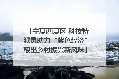 宁夏西夏区 科技特派员助力“紫色经济”酿出乡村振兴新风味