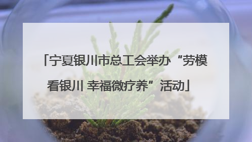 宁夏银川市总工会举办“劳模看银川 幸福微疗养”活动