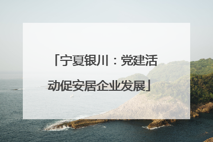 宁夏银川：党建活动促安居企业发展