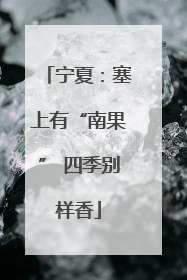 宁夏：塞上有“南果” 四季别样香