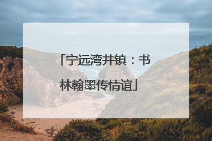 宁远湾井镇：书林翰墨传情谊