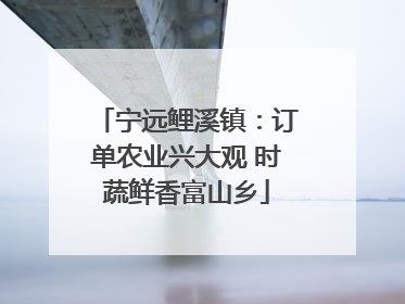 宁远鲤溪镇：订单农业兴大观 时蔬鲜香富山乡