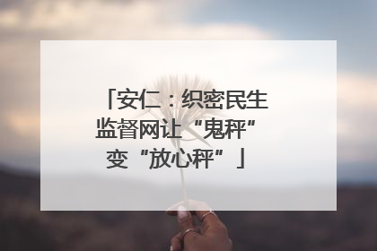 安仁：织密民生监督网让“鬼秤”变“放心秤”