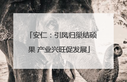 安仁：引凤归巢结硕果 产业兴旺促发展