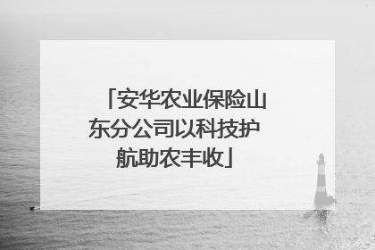 安华农业保险山东分公司以科技护航助农丰收