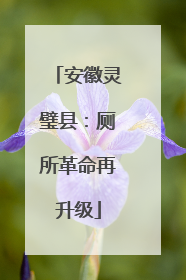 安徽灵璧县：厕所革命再升级