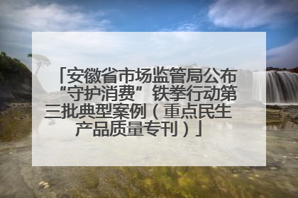安徽省市场监管局公布“守护消费”铁拳行动第三批典型案例（重点民生产品质量专刊）