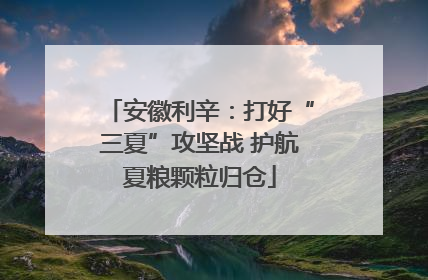 安徽利辛：打好“三夏”攻坚战 护航夏粮颗粒归仓