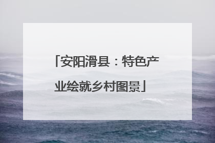 安阳滑县：特色产业绘就乡村图景
